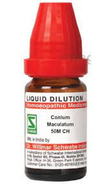Conium Maculatum
